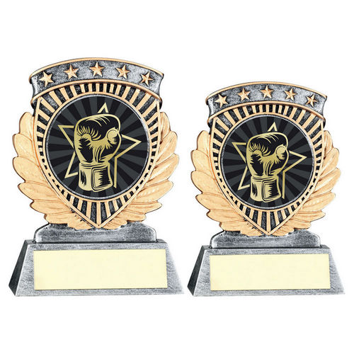 PEW/GOLD 5 STAR HOLDER WITH VINYL BOXING INSERT & PLATE