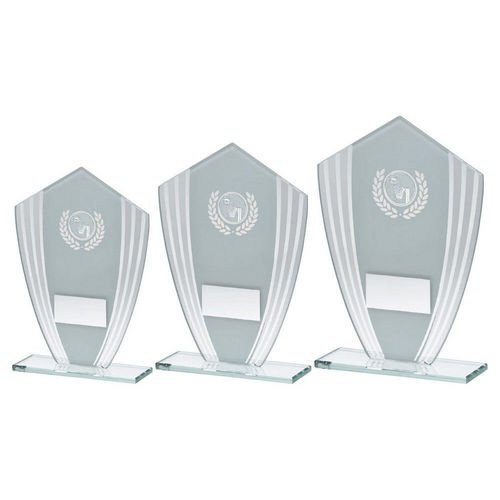 WHITE/SILVER GLASS SHIELD PLAQUE WITH NETBALL INSERT & PLATE